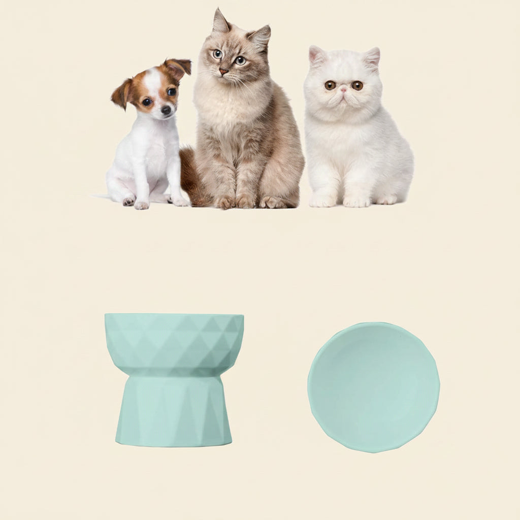 Cat Bowls,Ceramic Cat Bowls anti Vomiting,Raised Food and Water Bowl Set for Cats and Small Dogs,13.5 Oz,Green