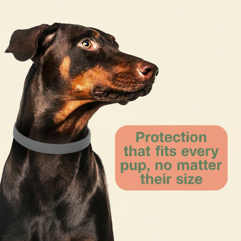 Flea & Tick Collar plus for Dogs & Puppies, 12 Months Protection Flea Infestations, Kills Fleas & Ticks, Repels Mosquitoes for up to 6 Months (Excl. California), One Size Fits All, 2 Count