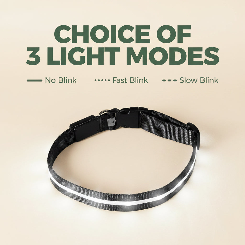 Light up Dog Collar - the Original LED Dog Collar - USB Rechargeable - Waterproof - 1,000 Feet of Visibility - Dog Collar Light for Small, Medium, Large Dogs - USA Brand