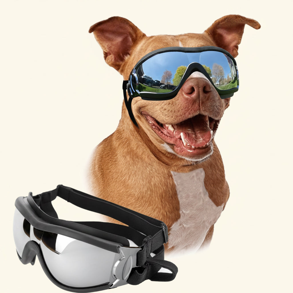 Dog Goggles Large Breed, Large Dog Sunglasses Eye Protection for Dogs Windproof Goggles for Medium Large Dog Riding Biking Driving, Black