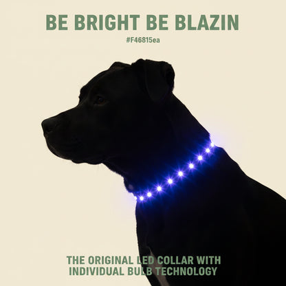 Light up Dog Collar - the Original LED Dog Collar - USB Rechargeable - Waterproof - 1,000 Feet of Visibility - Dog Collar Light for Small, Medium, Large Dogs - USA Brand