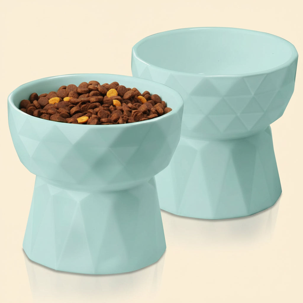 Cat Bowls,Ceramic Cat Bowls anti Vomiting,Raised Food and Water Bowl Set for Cats and Small Dogs,13.5 Oz,Green
