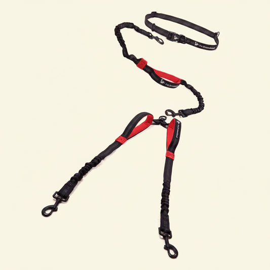 Exquisite Hands Free Double Leash for Two Dogs No Tangle. Premium Quality & Versatile Running Your Two Large Dogs. You Will Absolutely Love This Amazing Dual Dog Leash (Black & Red)