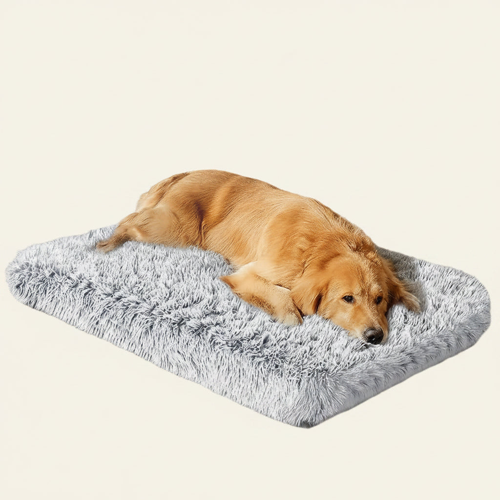 Dog Bed for Large Dogs, Washable Egg Crate Memory Foam Orthopedic Cozy Soft Long Plush Calming Pet Bed for Large Medium Size Dogs Crate, 36"X28", Gray