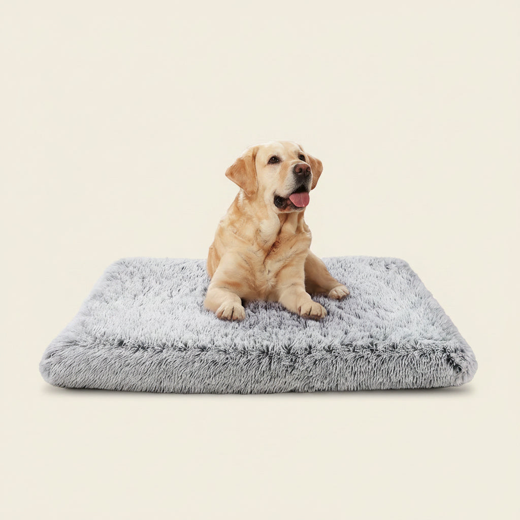 Dog Bed for Large Dogs, Washable Egg Crate Memory Foam Orthopedic Cozy Soft Long Plush Calming Pet Bed for Large Medium Size Dogs Crate, 36"X28", Gray