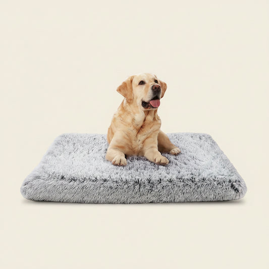 Dog Bed for Large Dogs, Washable Egg Crate Memory Foam Orthopedic Cozy Soft Long Plush Calming Pet Bed for Large Medium Size Dogs Crate, 36"X28", Gray