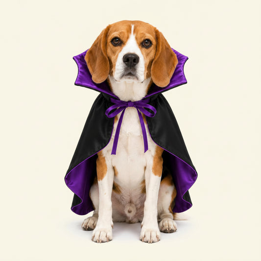 Vampire Cloak Dog Costumes for Medium Dogs, Devil Cape Dog Halloween Costume, Halloween Costumes for Medium Large Breed